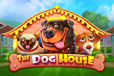 The Dog House слот Север Казино