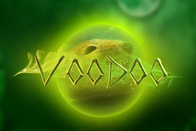 Voodoo онлайн Север Казино